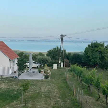 Apartamento Panoramic Tranquility On Hill Of Vineyard
