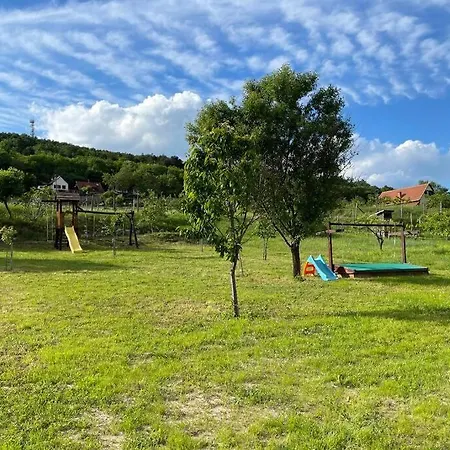 Panoramic Tranquility On Hill Of Vineyard Apartamento Csopak