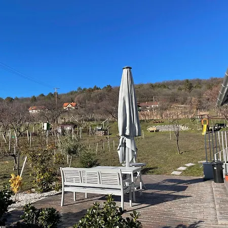 Panoramic Tranquility On Hill Of Vineyard *