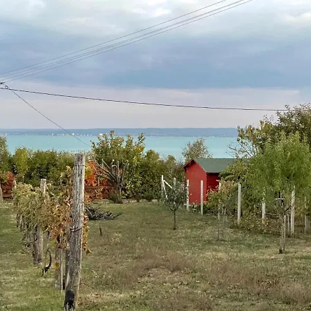 Panoramic Tranquility On Hill Of Vineyard Apartamento