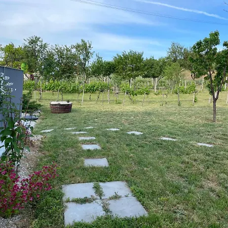 Apartamento Panoramic Tranquility On Hill Of Vineyard *