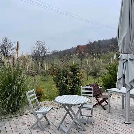 Panoramic Tranquility On Hill Of Vineyard Apartment *